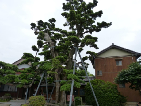 画像15